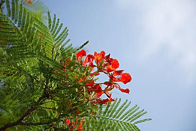 《我的世界：地下城》第二赛季“闪耀之夜”正式上线